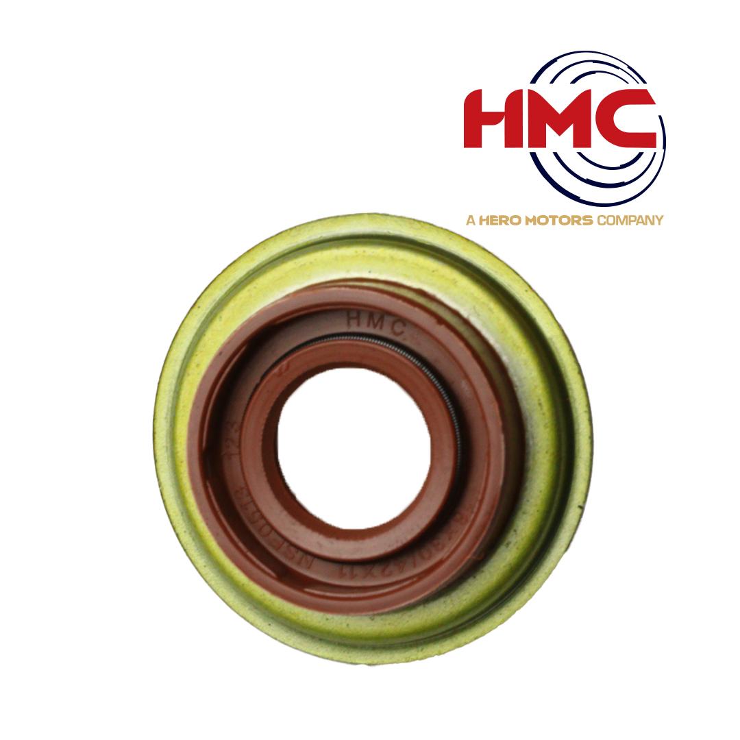 کاسنمد ماهک 405 - HMC